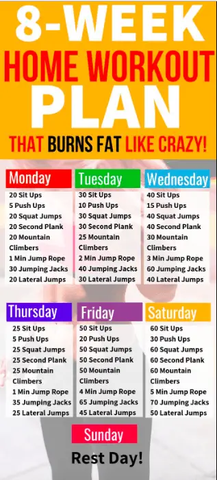 8 week home workout plan