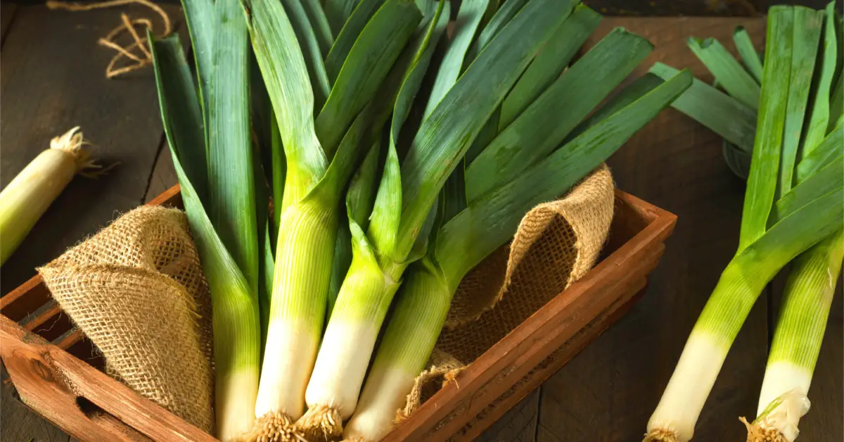 substitute for leeks