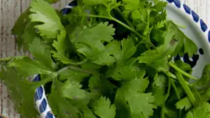 substitutes for fresh cilantro leaves