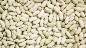 Flageolet beans