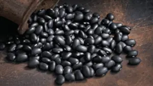 black beans can be used as s tand in for great northern beans