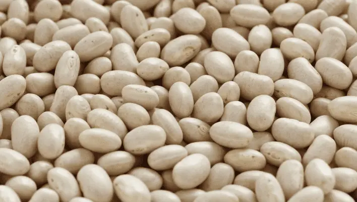 navy beans to replace great northern beans