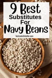 Don’t have navy beans or realized you’re all out while you’re making a recipe that calls for them? Here are the best navy beans substitute ideas worth trying!