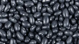 Black turtle beans (or black beans)