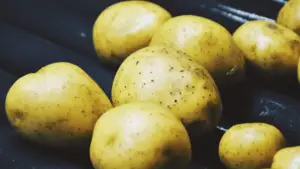 substitute for potatoes